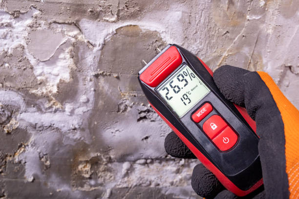 Best Mold Testing and Removal  in Southern View, IL