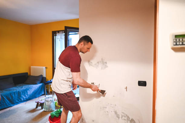 Best Crawl Space Mold Removal  in Southern View, IL